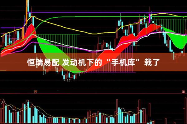 恒瑞易配 发动机下的 “手机库” 栽了